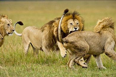 《都市传说解体中心》发售日预告 2月13日发售